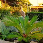 Bugenvilla 4*