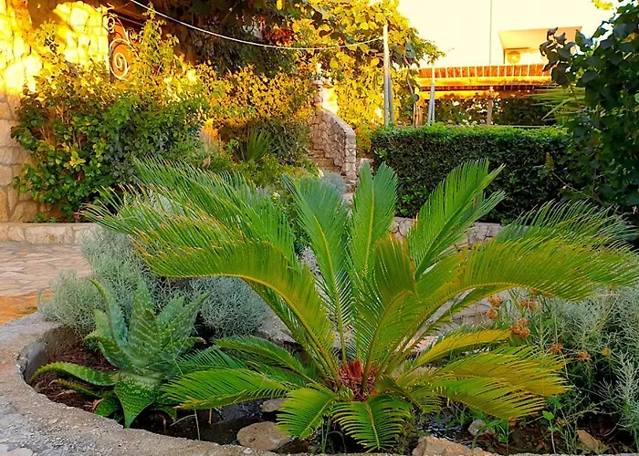 Bugenvilla 4*